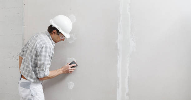 Wallpaper Removal and Painting in Heeia, HI